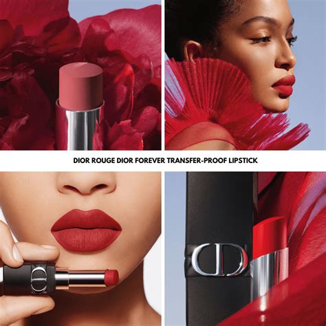 dior lipstick forever paris|Dior forever transfer proof lipstick.